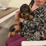 aktiviteetit_hauva_sylissa