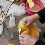 askartelu_paasiais_koristelu